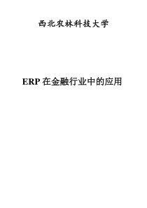 ERP在金融行业中的应用--课题报告