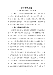 实习律师总结