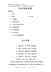 公司管理方案(DOC36页)