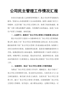 公司民主管理工作情况汇报