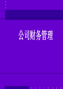 公司财务管理(PPT63页)