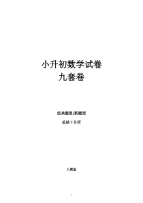 人教版小升初数学模拟试题(共九套)详细答案