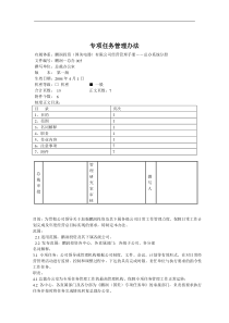 专项任务管理办法