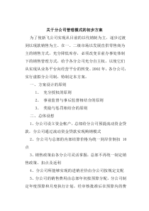 关于分公司管理模式的初步方案