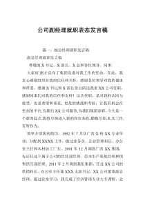 公司副经理就职表态发言稿