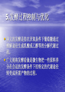 发酵过程控制与优化