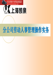 分公司劳动人事管理操作实务(PPT 44页)