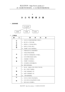 分公司管理方案