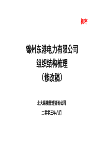 北大纵横-锦州东港电力有限公司组织结构梳理报告