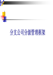 分支公司分级管理框架（PPT32页)