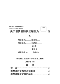 关于消费者购买安踏行为分析(doc-9页)(精品版)