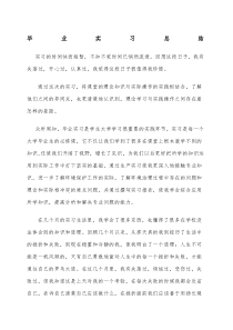 本科毕业生实习总结