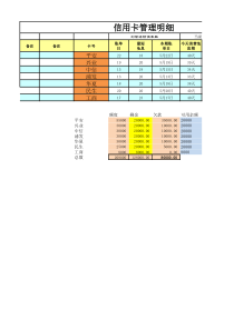 excel个人信用卡管理明细表格