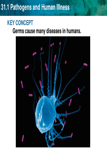 immunesystem