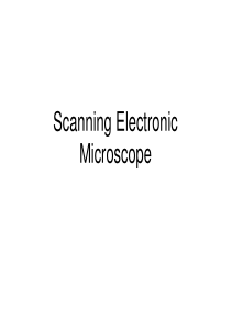 Scannig-Electronic-Microscop扫描电子显微镜原理