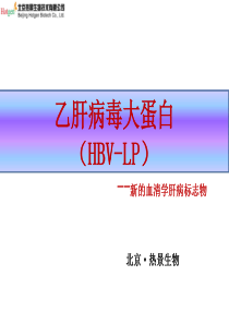 乙肝HBV-LP--2