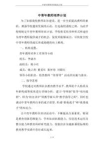 中青年教师培养成长计划