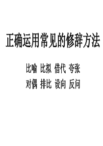 高考复习修辞方法专题