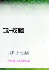 初二数学认识二元一次方程组课件高品质版