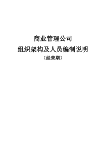 商业管理公司经营期人员组织架构及人员编制