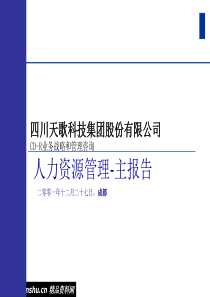 四川某科技公司人力资源管理报告