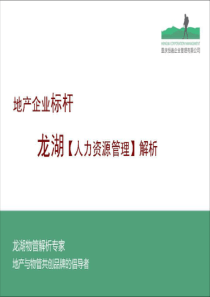 四川重庆龙湖人力资源管理企业标杆解析培训教程_95页_XXXX年