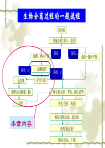 细胞破碎、蛋白质复性、固液分离