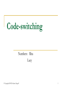 语码转换(code-switching)