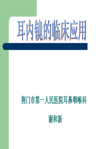 耳内镜的临床应用。谢和新