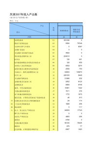 02天津2007年投入产出表