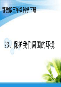 23、保护我们周围的环境