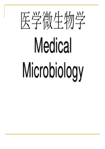 医学微生物概述