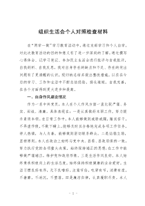 个人对照检查材料