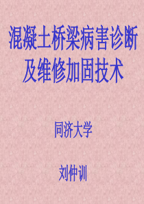 混凝土桥梁病害诊断及维修加固技术同济大学ppt课件-