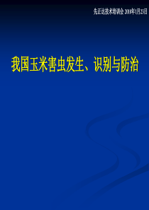 我国常见玉米害虫发生、识别与防治方法