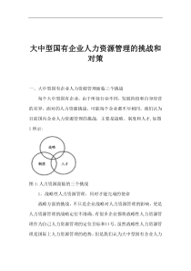 大中型国有企业人力资源管理的挑战和对策(1)