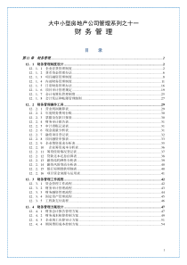 大中小型房地产公司管理系列11_财务管理