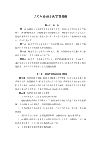 公司财务信息化管理制度