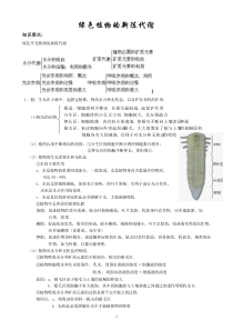 绿色植物的新陈代谢