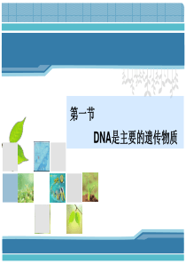 DNA是主要的遗传物质ppt