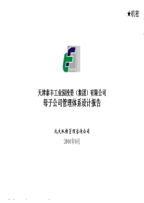 天津泰丰-报告7-母子公司管理体系设计报