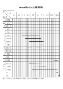 市政道路综合改造工程进度计划表