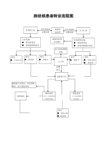 肺结核患者转诊流程图