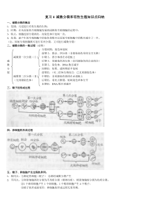 复习四减数分裂知识点归纳