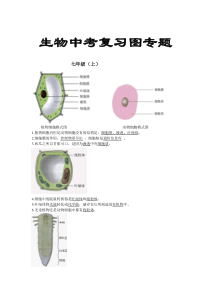 人教版初中生物中考复习图专题(1)