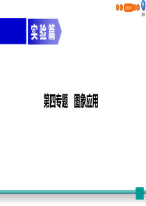 2020年广东中考物理二轮复习课件：专题4-图像及应用(共33张PPT)