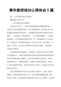 青年教师培训心得体会5篇