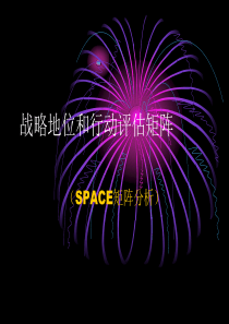 SPACE矩阵分析