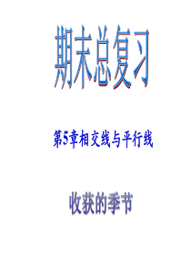 新人教版七年级下期末总复习(第5章相交线与平行线)课件ppt