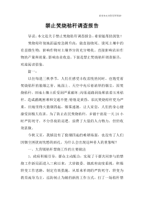 禁止焚烧秸秆调查报告